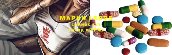 кокс Арсеньев