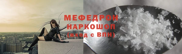 хмурый Аркадак