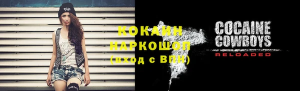 кокс Арсеньев