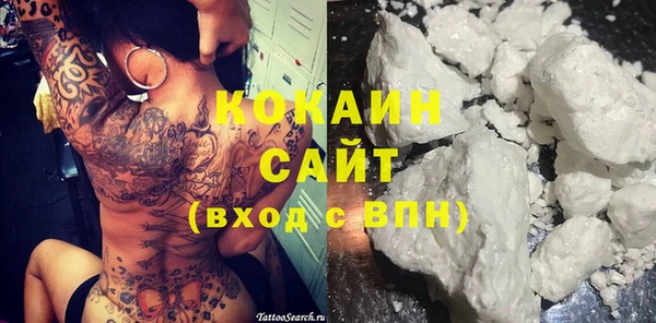 кокс Арсеньев