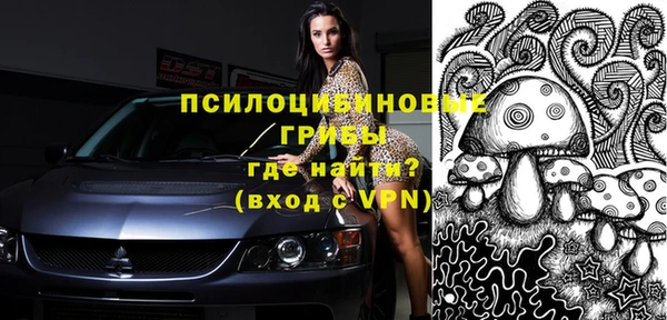 индика Армянск
