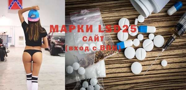 хмурый Аркадак