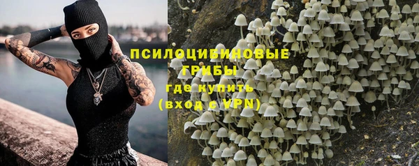 кокс Арсеньев