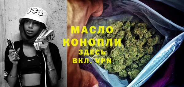 индика Армянск