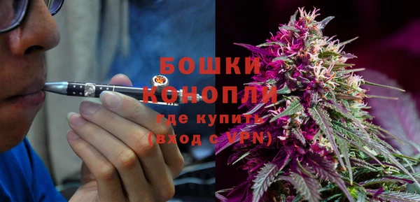 хмурый Аркадак