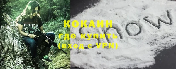 кокс Арсеньев