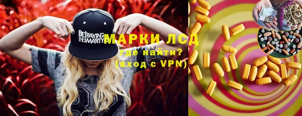 шишки Пересвет