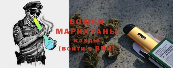 хмурый Аркадак