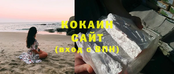 хмурый Аркадак