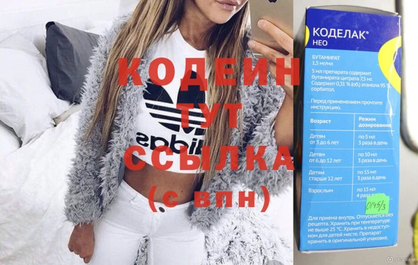 хмурый Аркадак