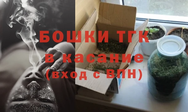 хмурый Аркадак